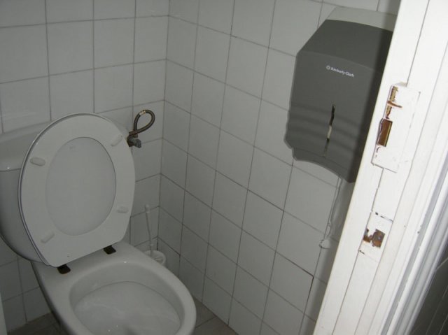 aseosepatiotraserofucares1